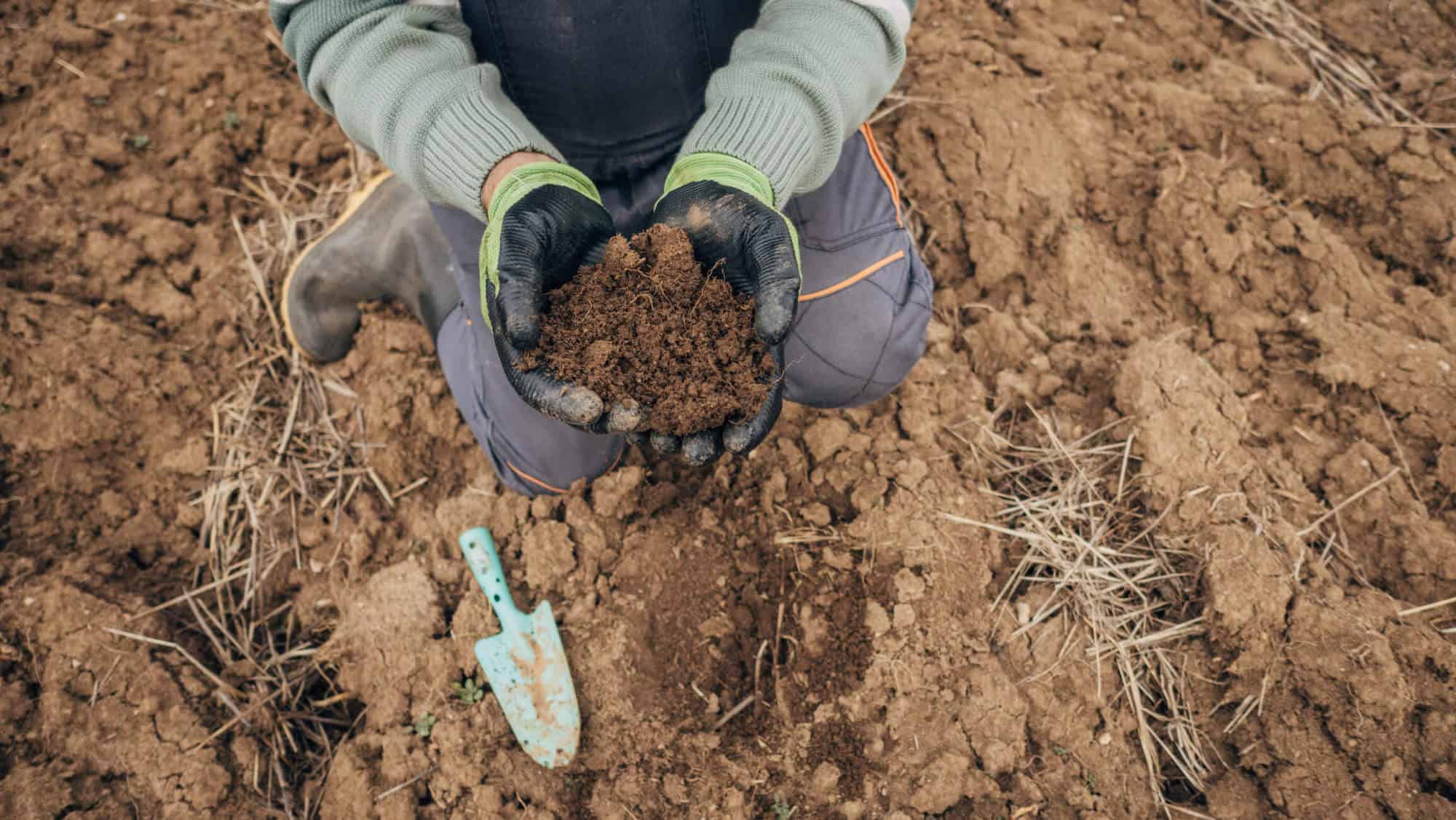 a person sitting in dirt and holding a pile of dirt in their hands