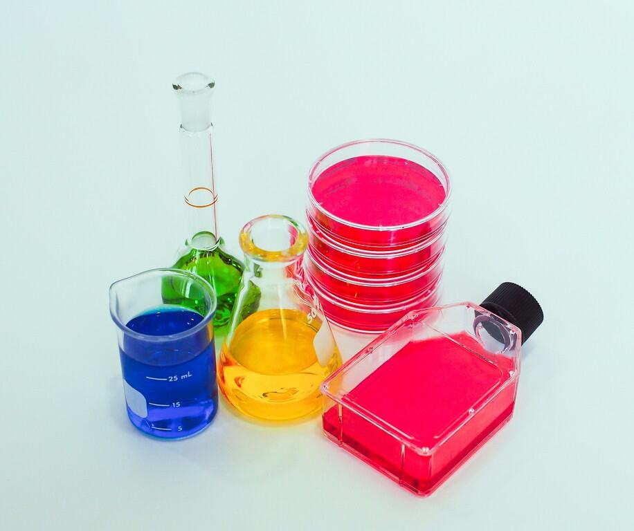 vials and culture dishes with different colored liquids inside sit together on a white background